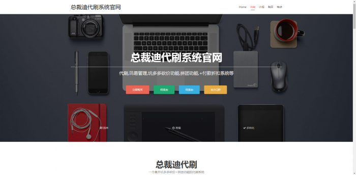 总裁迪Ds系统官网带后台插图2
