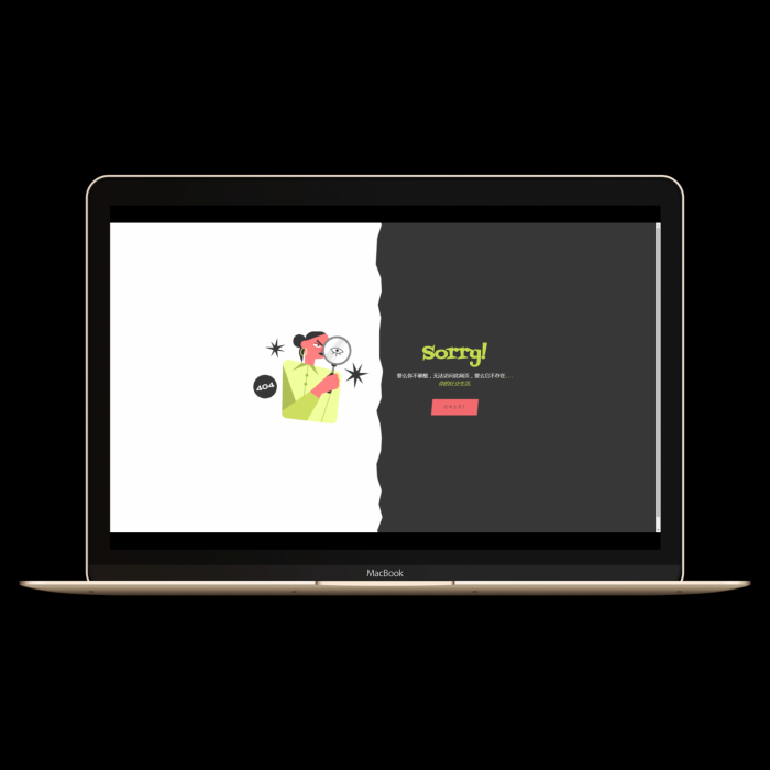 分享九款不同页面的404源码插图4