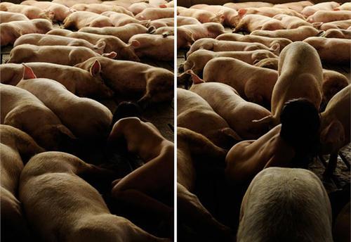 微信牛牛 性生活前，一定要做好这些准备-源来如此