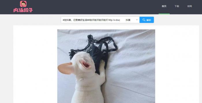 短视频无水印解析源码半开源分享-源来如此