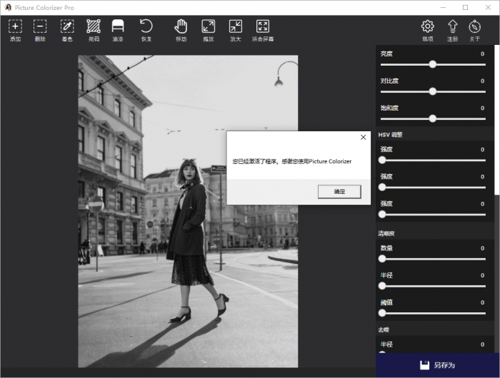 Picture Colorizer v2.4.0-源来如此