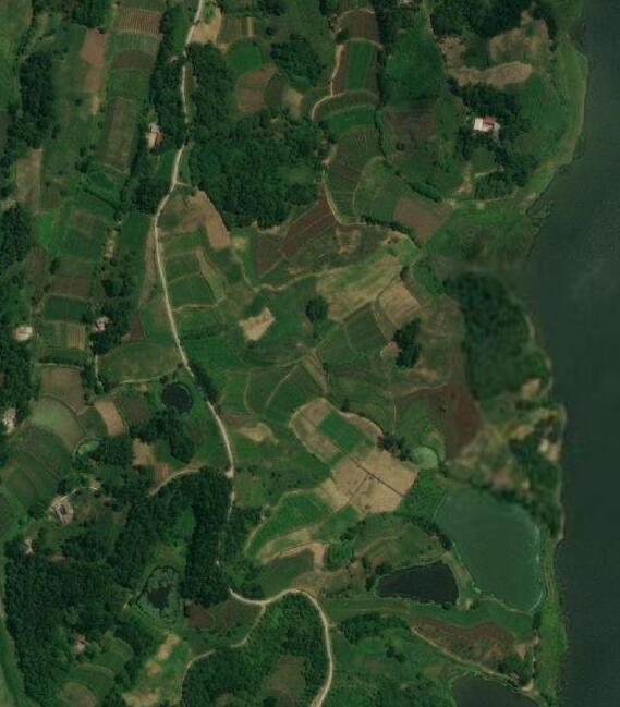 专业版谷歌地球地图永久版某拼购买-源来如此