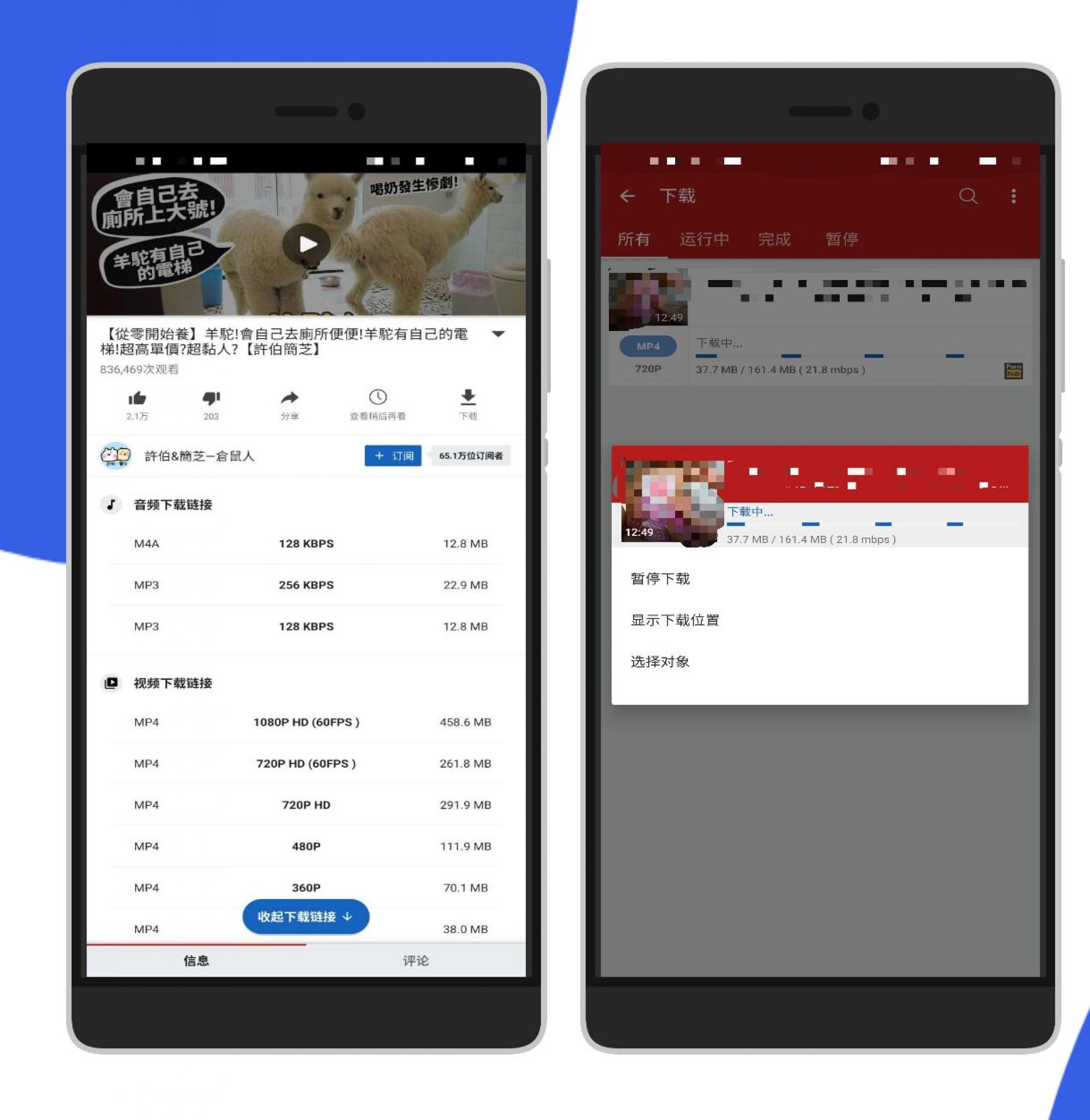 安卓–油管/P站视频下载器–支持付费下载-源来如此