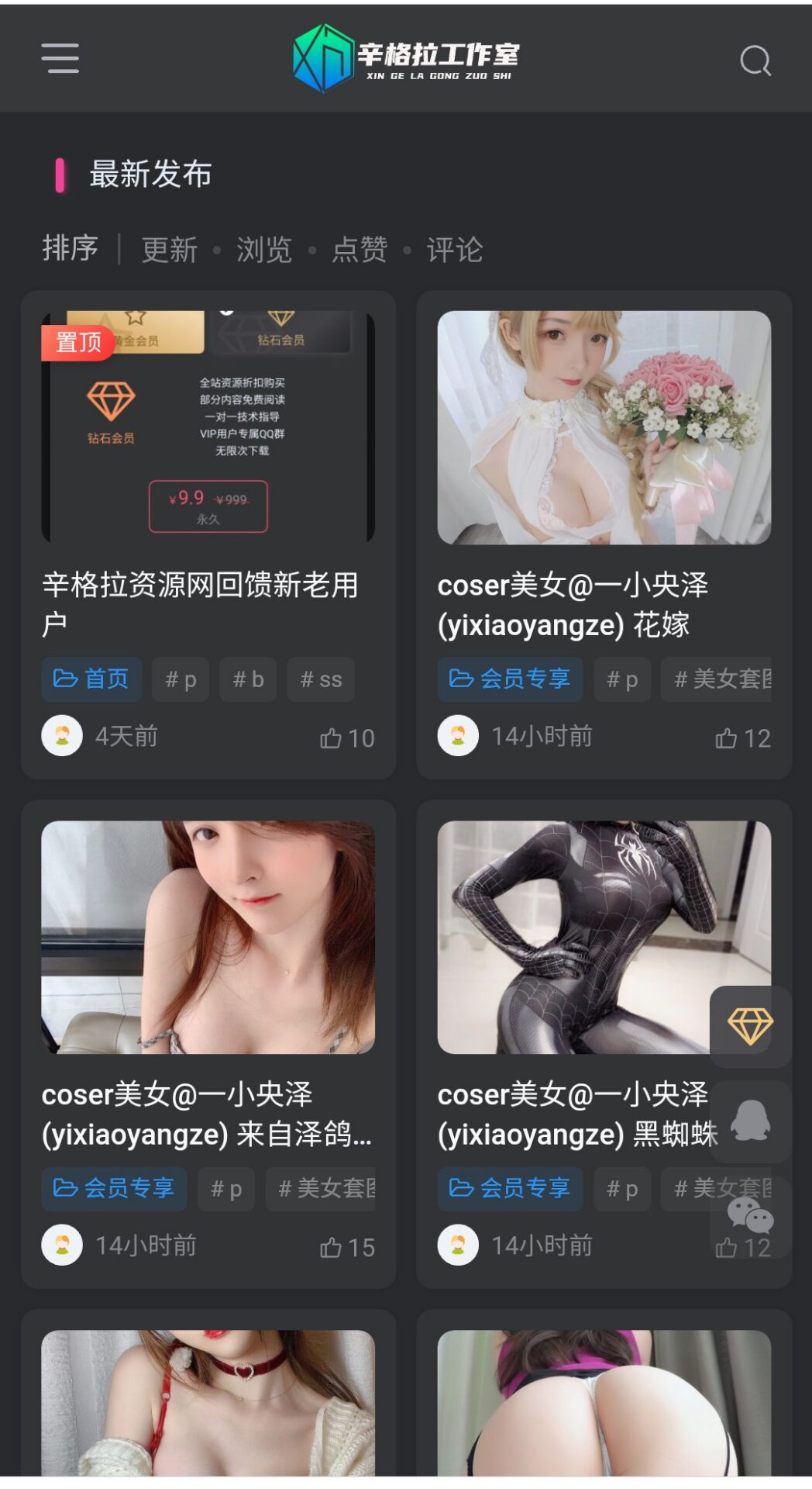 辛格拉资源网插图2