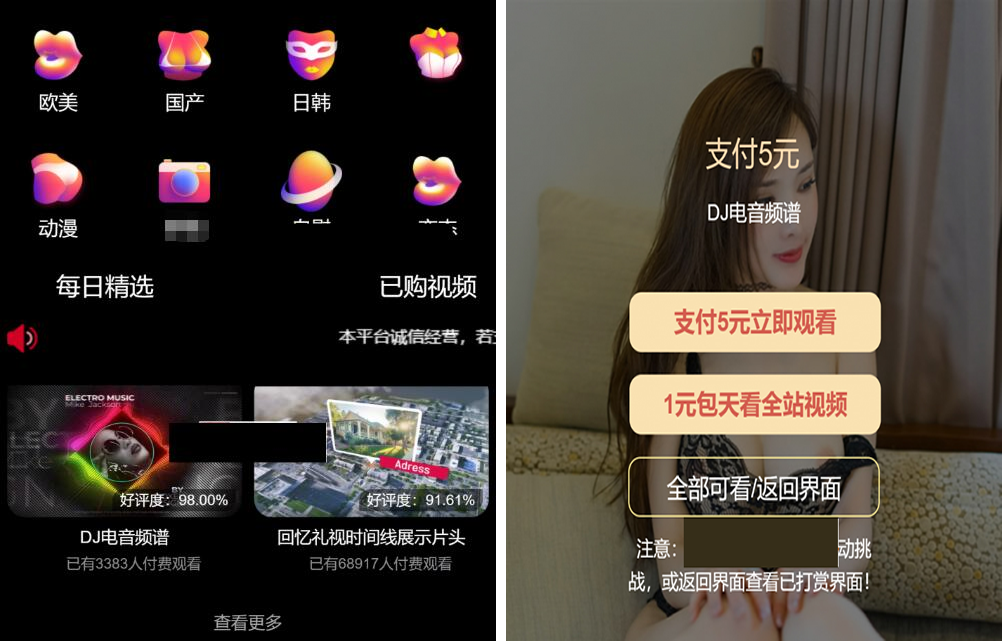 最新版付费视频打赏程序源码 多模板+全新UI 带包天+可扣量+代理 非云赏V系列-源来如此