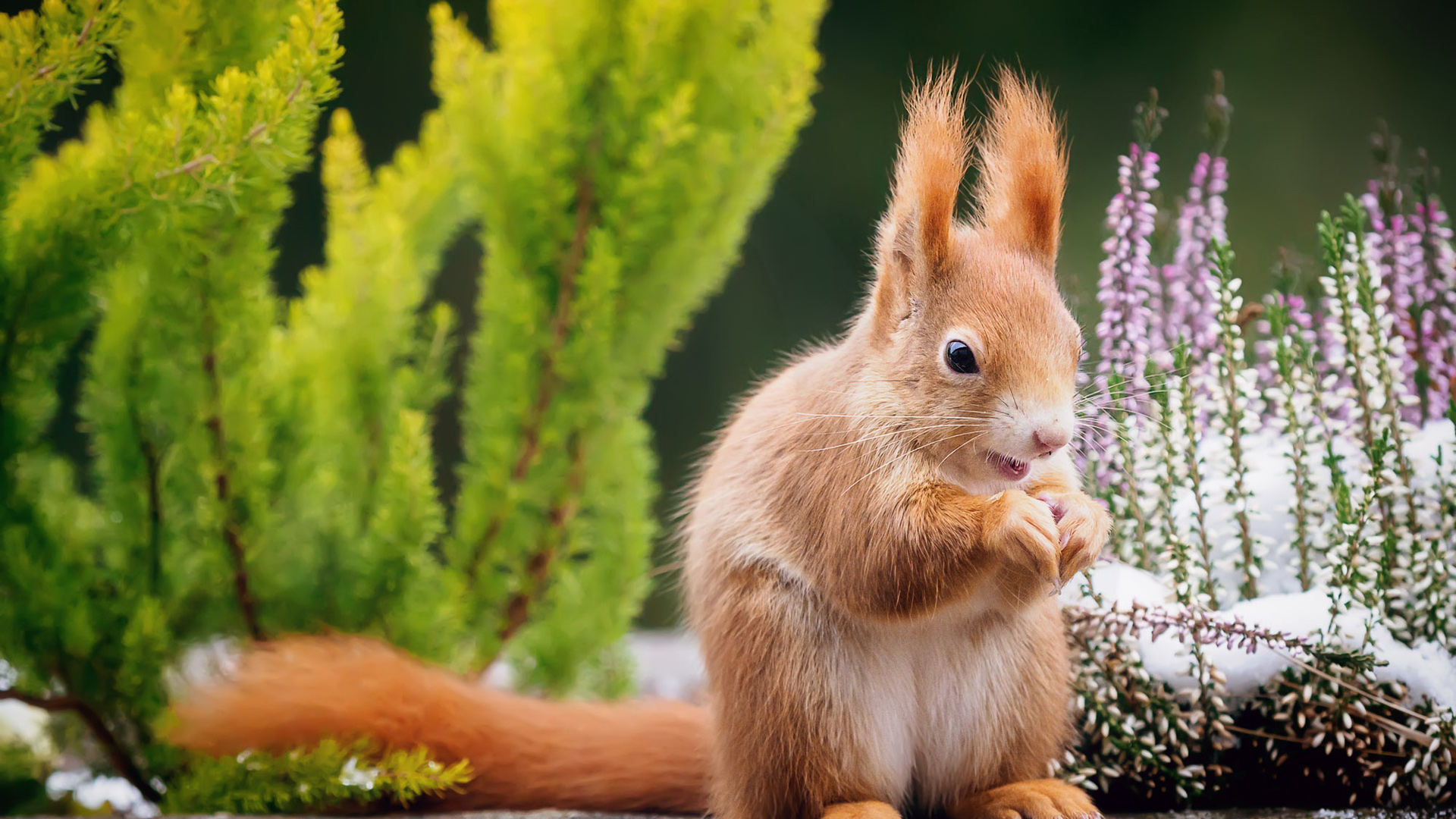 的头像-源来如此