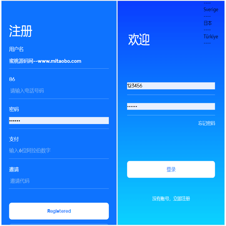 亚马逊抢单源码自动抓取订单任务邀请英文,西班牙语可自动切换语言插图4
